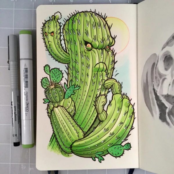 Скетчбук. Кактусы