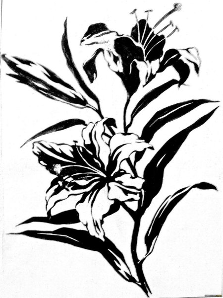 Линеарно пятновые