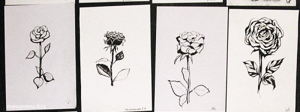 Роза черной ручкой