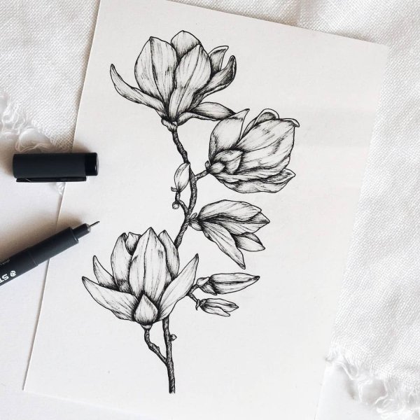 Магнолия тату эскизы