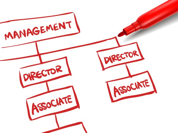 Плакат график