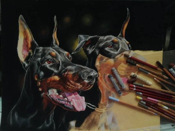 Герхард Шюлер Доберман