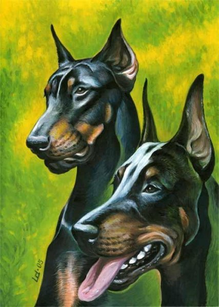 Доберман маркерами