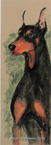 Доберман Аристократ