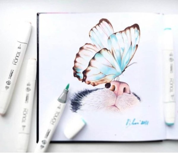 Рисунки акварельными маркерами