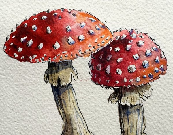 Мухомор арт
