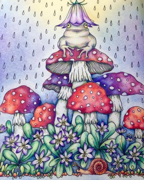 Мухомор маркерами