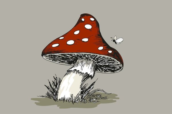 Мухомор силуэт