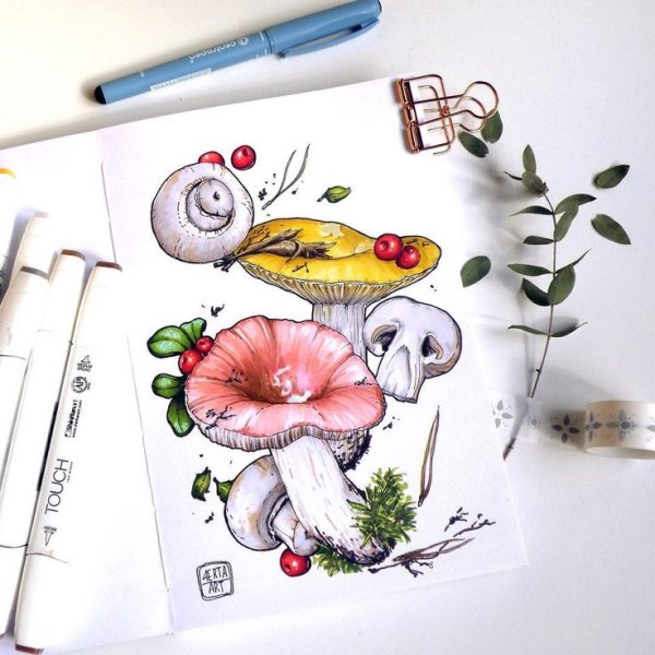Грибы скетч маркерами