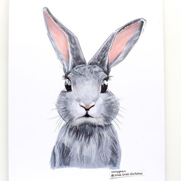 Кролик фломастером