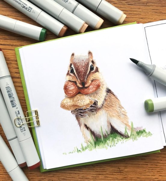 Милый стиль рисования животных