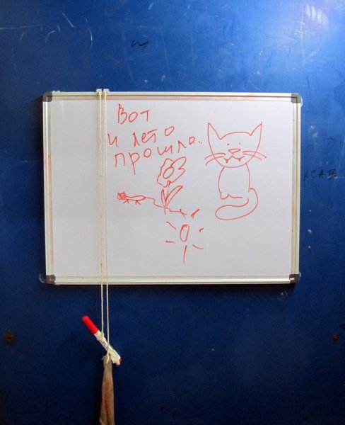 Надписи на маркерной доске