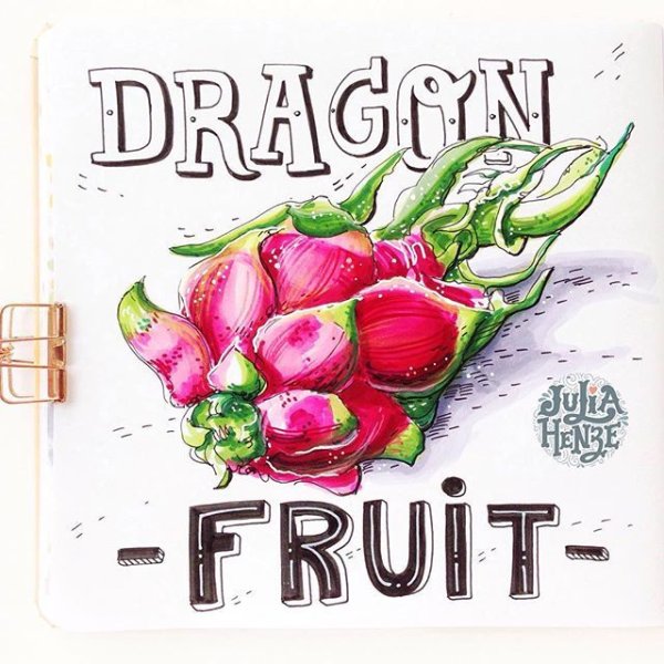 Драконий фрукт рисунок маркерами