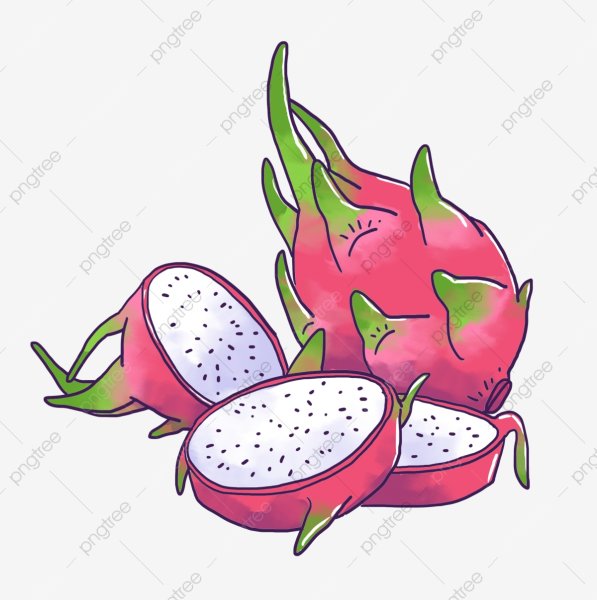 Питахайя вектор