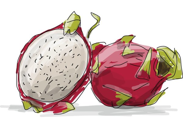 Скетч Драконий фрукт