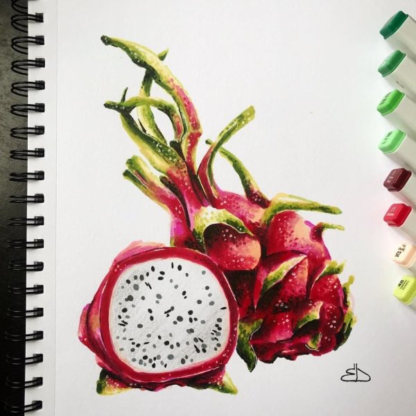 Фрукты скетч маркерами