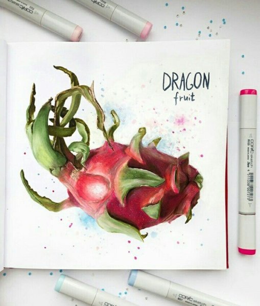 Драконий фрукт маркерами в скетчбуке