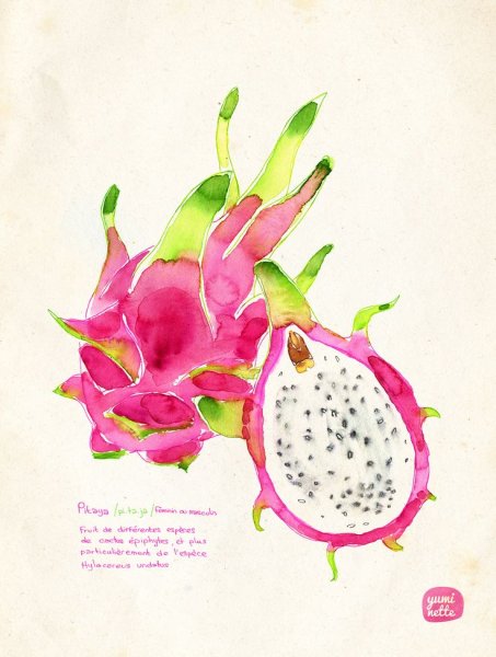 Драконий фрукт нарисовать