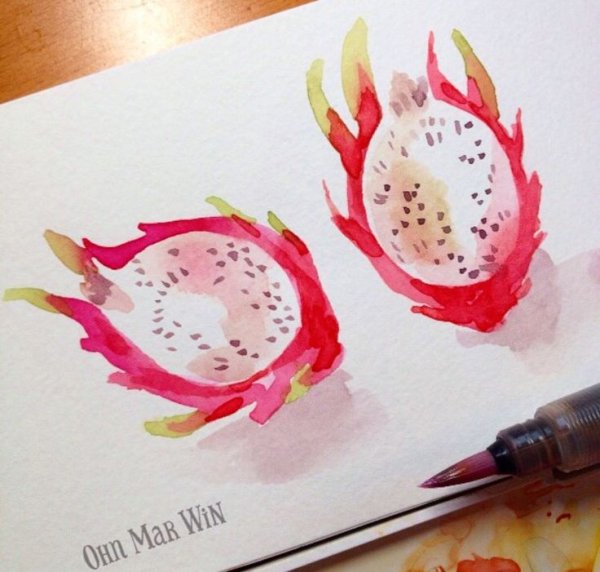 Скетчинг Драконий фрукт