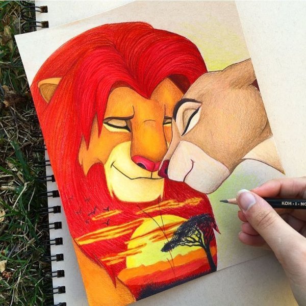 Симба карандашом цветной