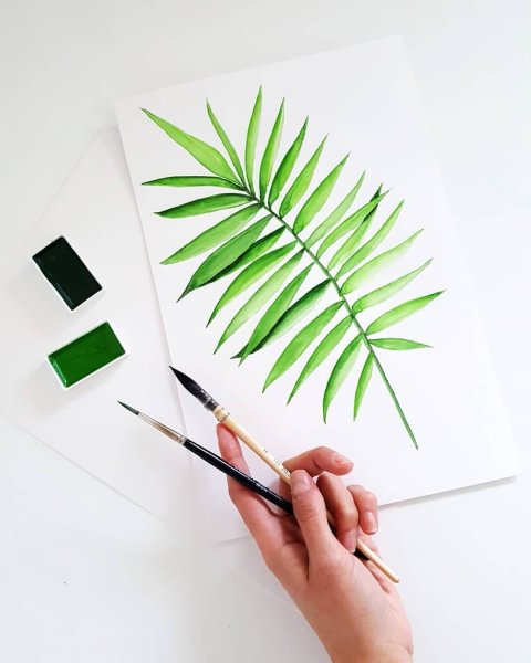 Тропические листья маркерами