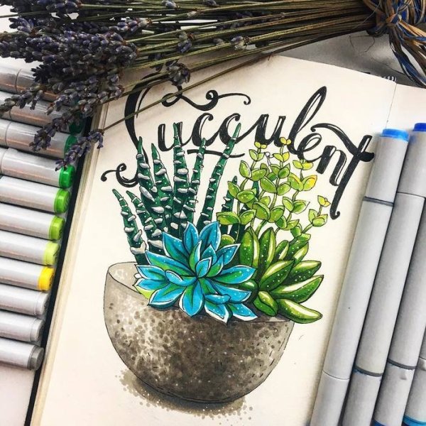 Ботанический скетчинг Суккуленты