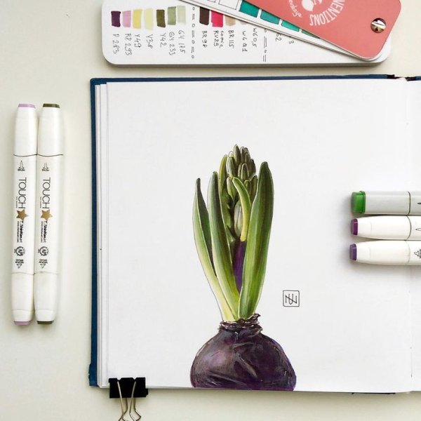 Растения маркерами