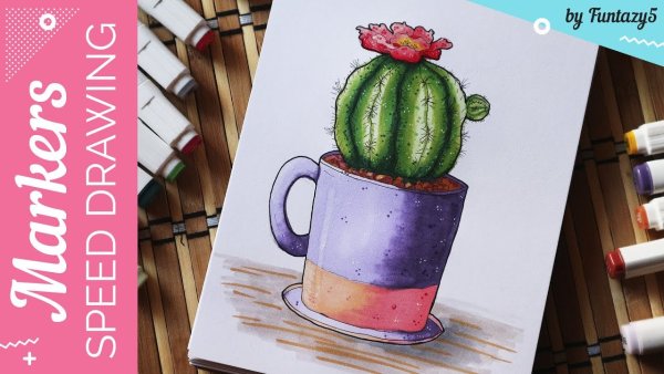 Кактус рисунок маркерами