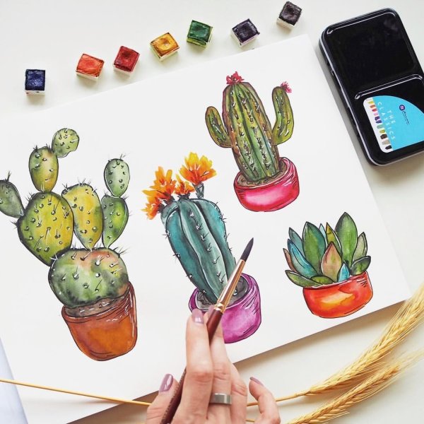 Кактус скетчинг акварель