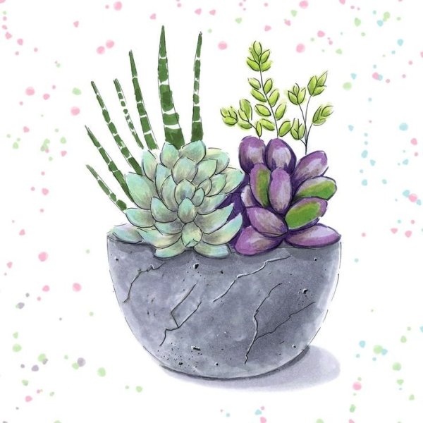 Суккуленты скетч акварелью