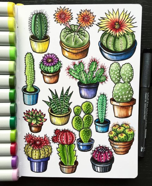 Скетчинг Кактус