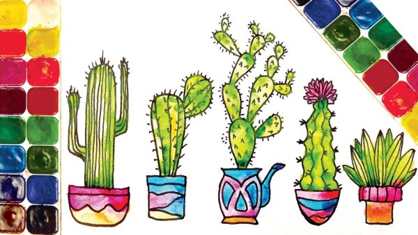 Скетчинг Кактус