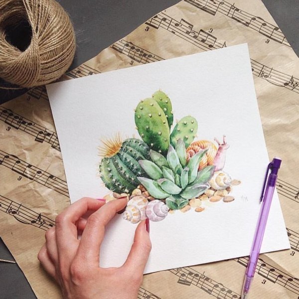 Ботанический скетчинг Суккуленты