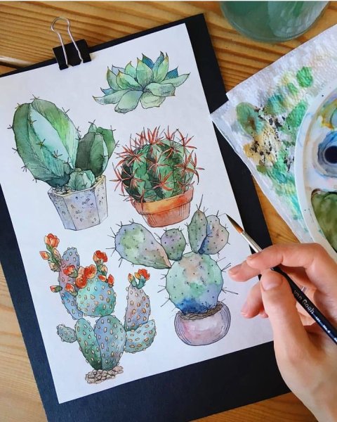 Скетчи растений