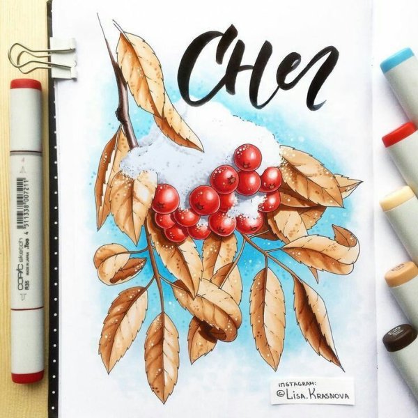 Зарисовки животных фломастерами