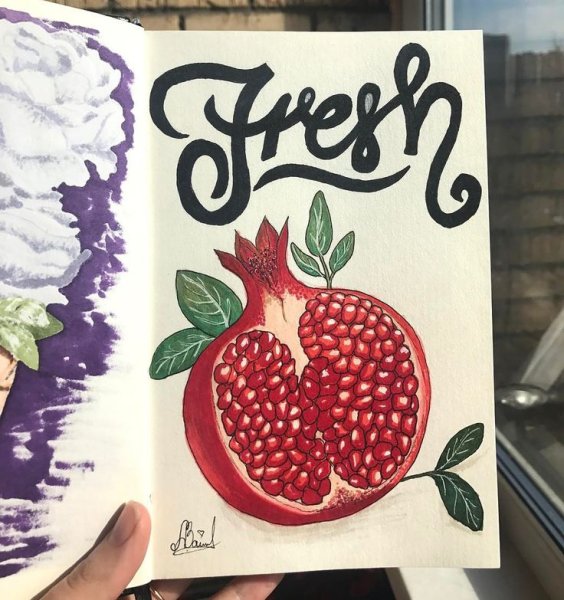 Скетчинг гранат