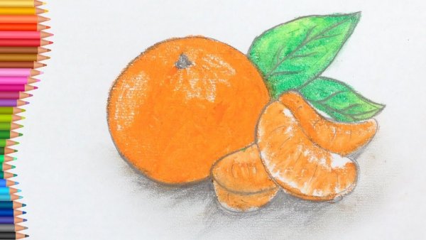 Апельсин цветными карандашами