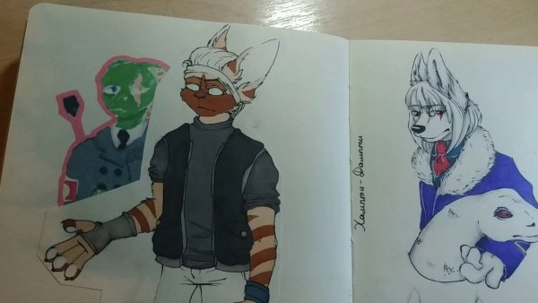 Скетчбук фурри