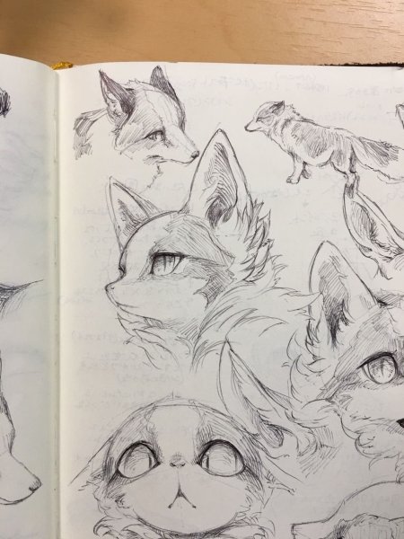 Рисование в скетчбуке животных