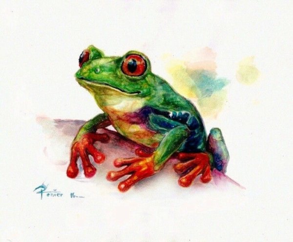 Лягушка цветными карандашами