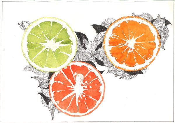 Цитрусы наклейки