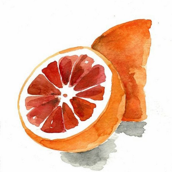 Апельсин акварелью