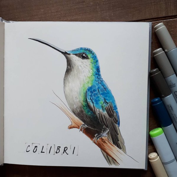 Птицы в скетчбуке