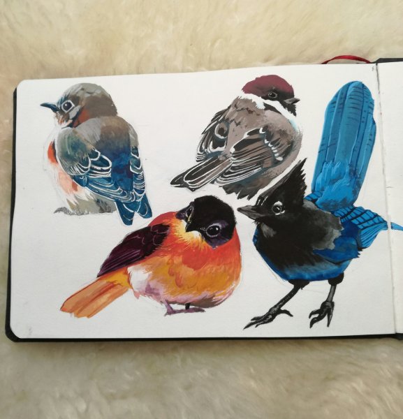 Рисунки для скетчбука животные