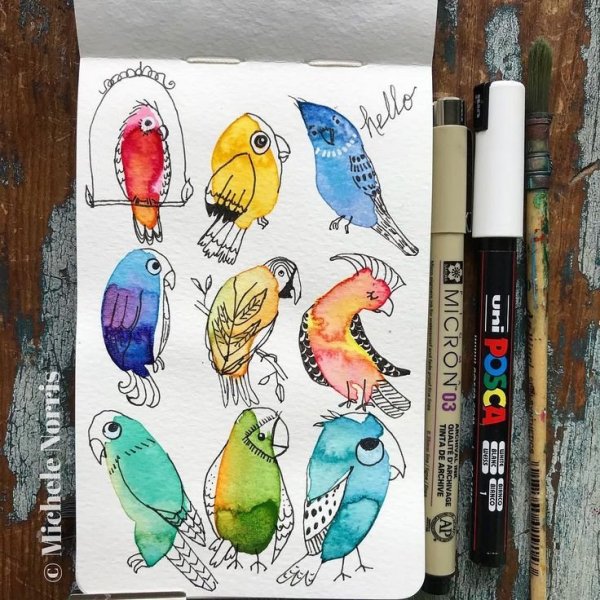 Птицы фломастерами