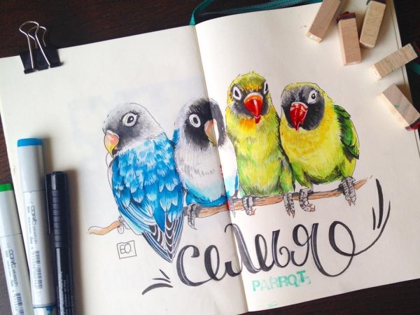 Наброски животных и птиц