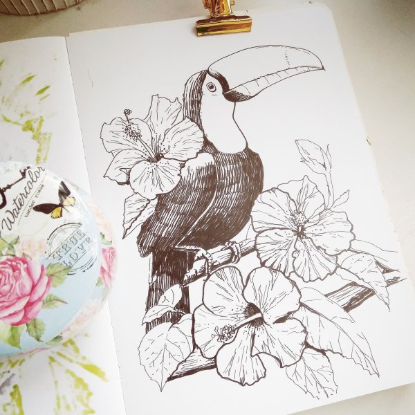Рисунки птиц фломастерами