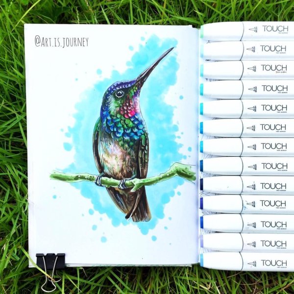 Скетчинг акварелью птицы