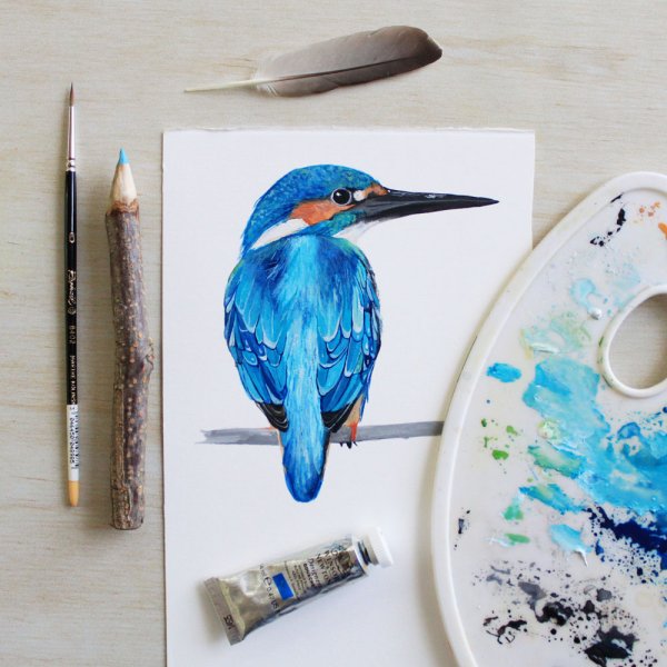 Идеи для скетчбука птицы