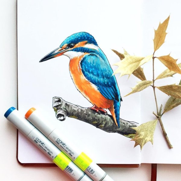 Совенок акварель